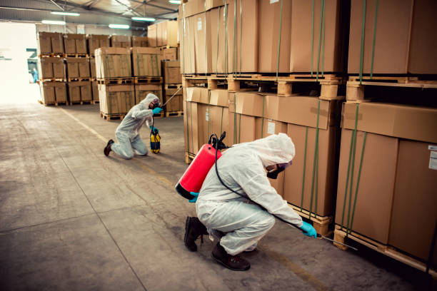 Best Cockroach Control Services  in Kentland, IN