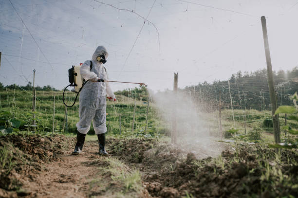 Best Mosquito Control Services  in Kentland, IN