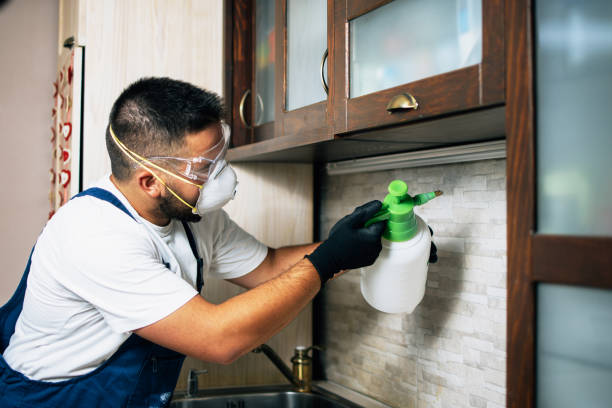 Best Affordable Pest Control Services  in Kentland, IN