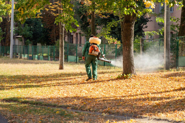 Best Local Pest Control Services  in Kentland, IN