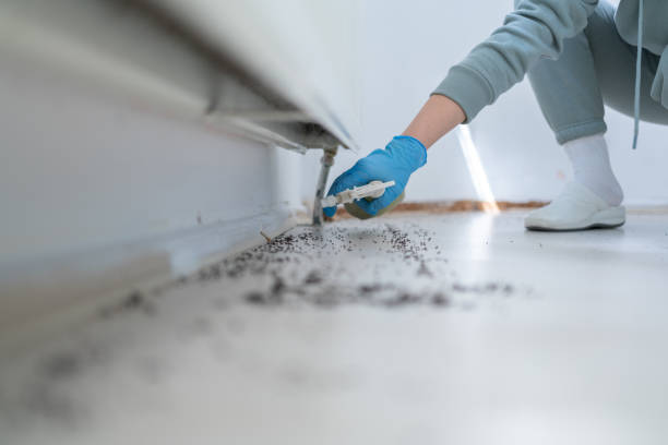 Best Best Pest Control Companies  in Kentland, IN